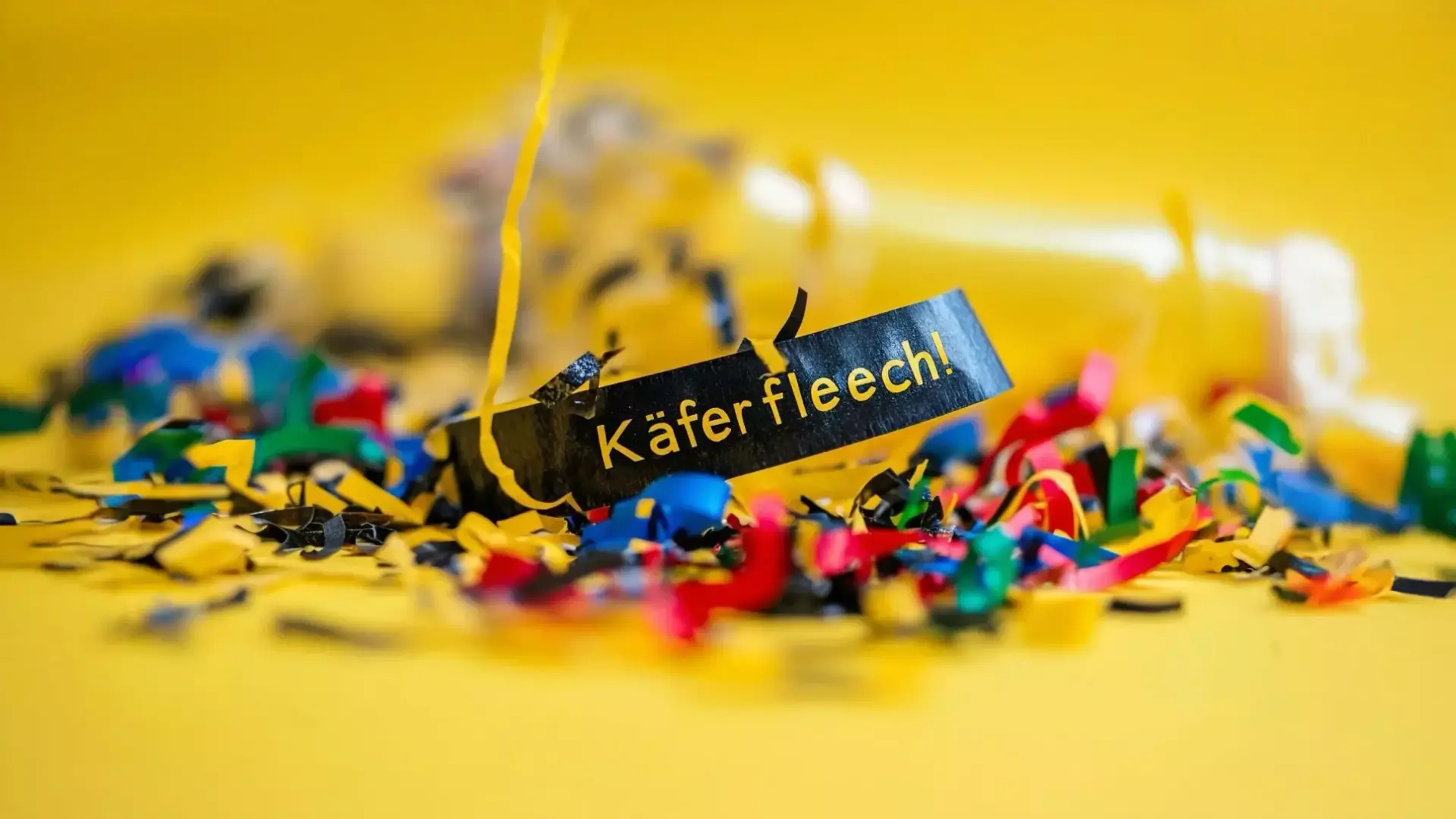 Karneval 2025 in Korschenbroich: Käfer Fleech lädt ein! 🎉🥳